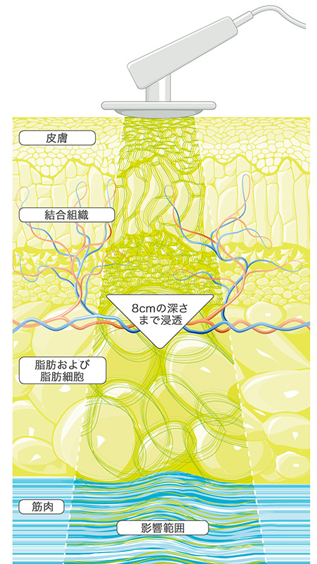 機能