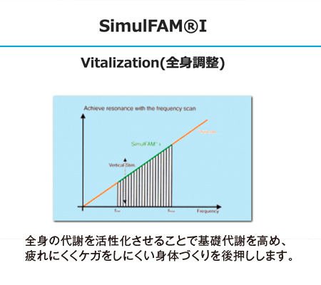 simulfam01