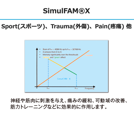 SimulFAMの説明図